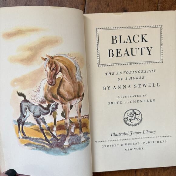 Black Beauty Anna Sewell Illustrated Junior Library Vintage Hardback Book 1945 - Picture 9 of 12
